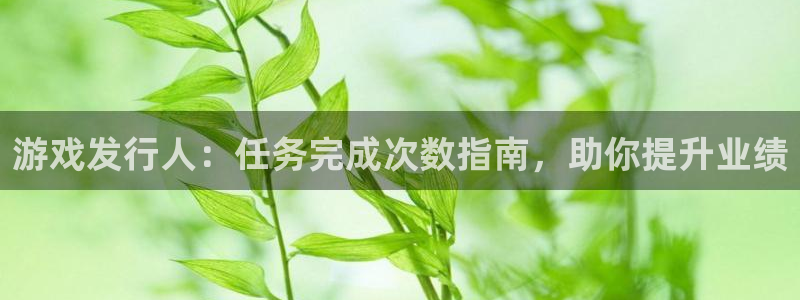 蓝狮在线挂机项目怎么样啊：游戏发行人：任务完成次数指南，助你提升业绩
