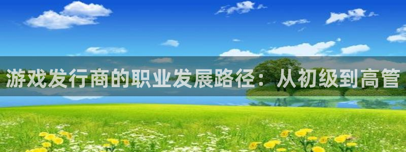 蓝狮在线客服电话号码：游戏发行商的职业发展路径：从初级到高管