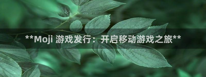 蓝狮仓储中心：**Moji 游戏发行：开启移动游戏之旅**