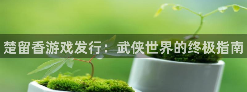 蓝狮科技有限公司：楚留香游戏发行：武侠世界的终极指南