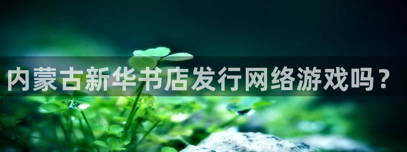 蓝狮电子商务：内蒙古新华书店发行网络游戏吗？