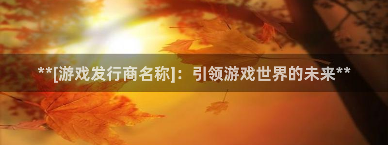 蓝狮衣服怎么样