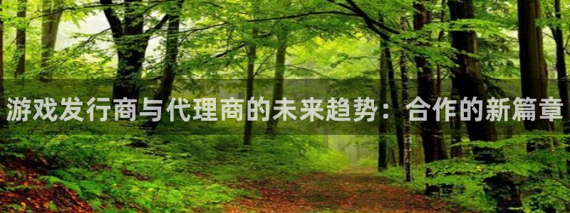 广州蓝狮电子商务：游戏发行商与代理商的未来趋势：合作的新篇章