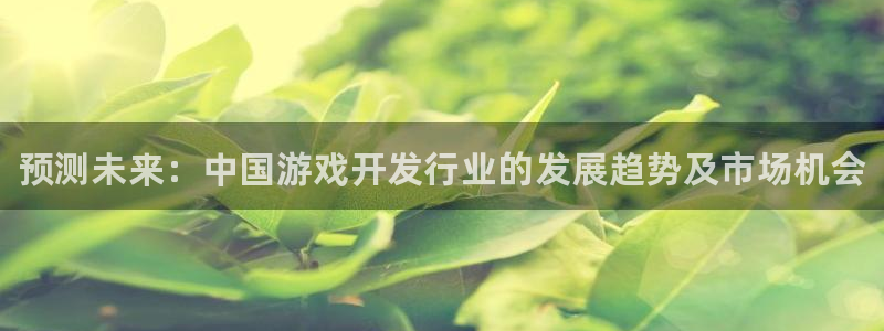 广州蓝狮投资管理顾问有限公司：预测未来：中国游戏开发行业的发展趋势及市场机会