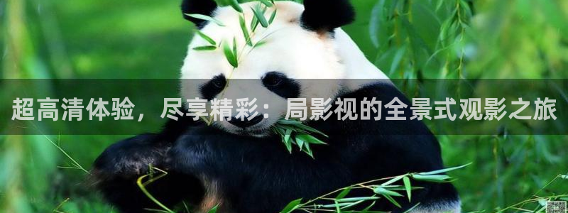 神马影院我不卡电影在线观看：超高清体验，尽享精彩：局影视的全景式观影之旅