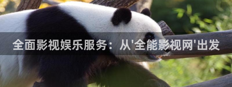 我不卡电影电视剧