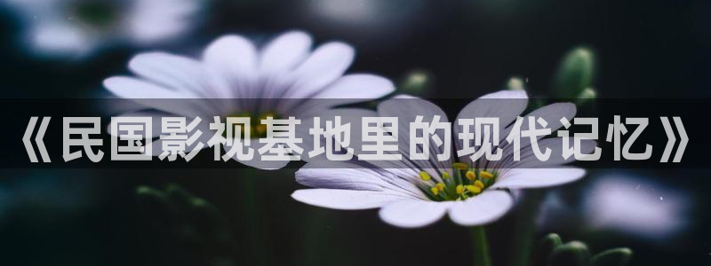 我不卡电影神马