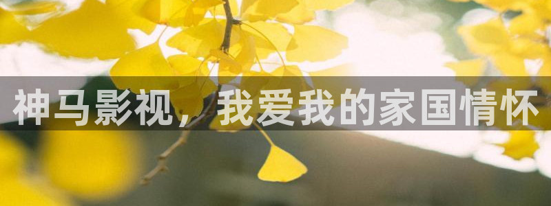 神马三级我不卡电影