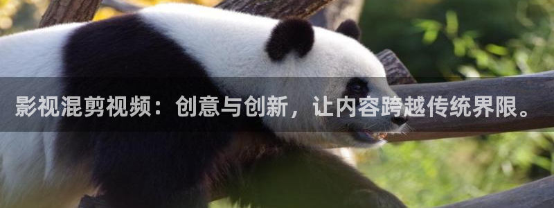 我不卡电影动漫：影视混剪视频：创意与创新，让内容跨越传统界限。