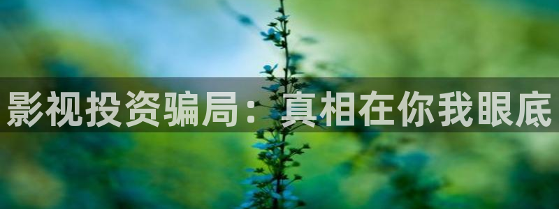 神马影院我不卡电影手机版：影视投资骗局：真相在你我眼底