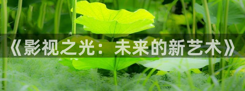 神马三级我不卡电影：《影视之光：未来的新艺术》