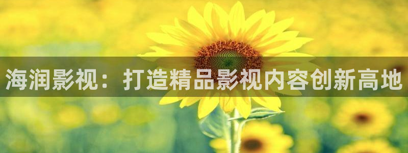 我不卡电影在线：海润影视：打造精品影视内容创新高地