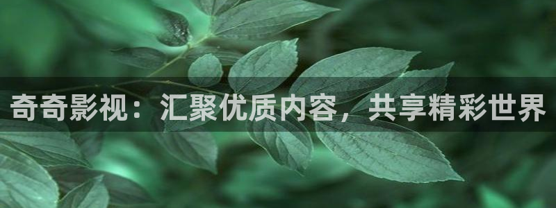 我不卡电影神马：奇奇影视：汇聚优质内容，共享精彩世界