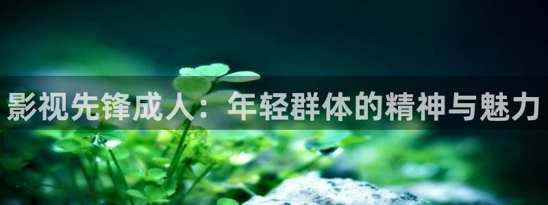 神马伦理我不卡电影：影视先锋成人：年轻群体的精神与魅力