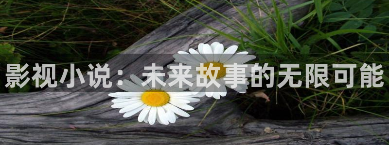 我不卡神马我不卡电影：影视小说：未来故事的无限可能